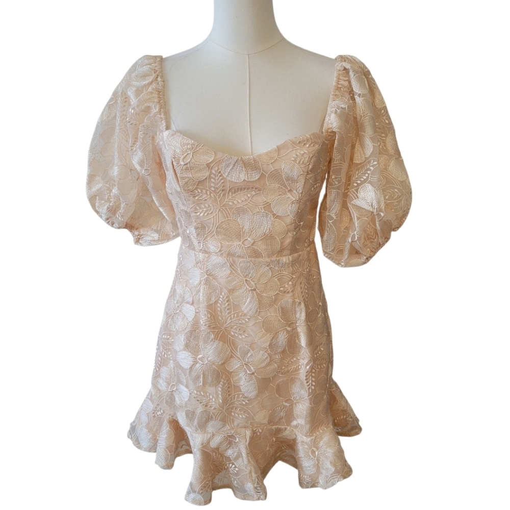 Sage + Paige Clarissa Champagne Lace Mini Dress Size Medium - Picture 3 of 7